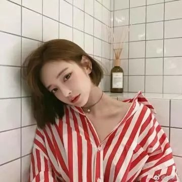猫在爬